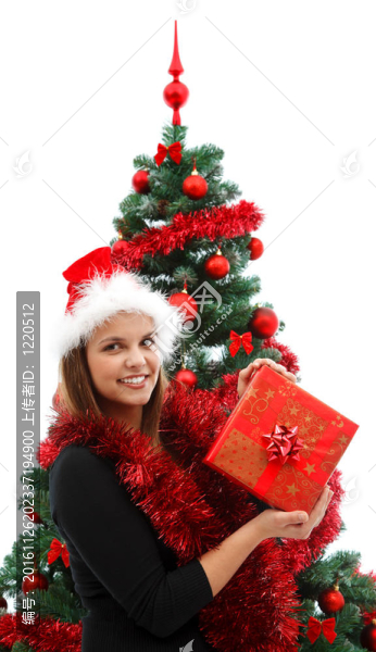 性感的Santa夫人