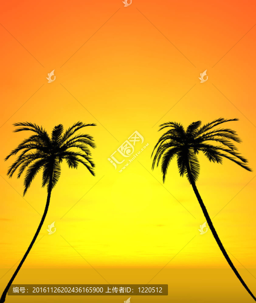 兩棵椰子樹的日落美景