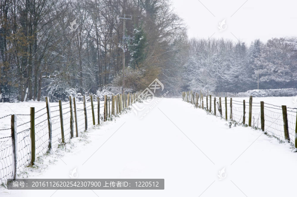 美麗的冬森林雪景與深處女雪