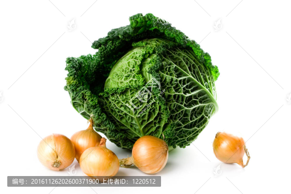 新鮮的卷心菜和五個洋蔥