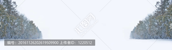 美麗的冬季森林雪景與深處女雪和樹木消失的距離與大量的副本空間為您的文字