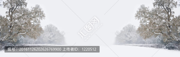 美麗的冬季森林雪景與深處女雪和樹(shù)木線消失與大量的復(fù)制空間為您的文本距離