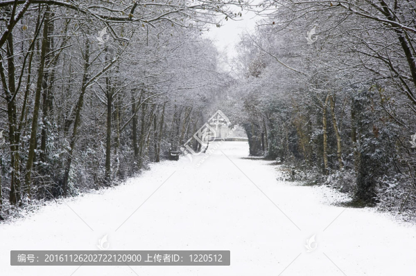 美麗的道路在森林與地面上的雪和秋天的顏色在樹上