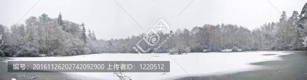 美麗的大全景凍結(jié)冰雪覆蓋湖泊周圍的樹覆蓋在雪地