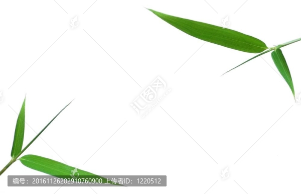 幸運(yùn)竹架