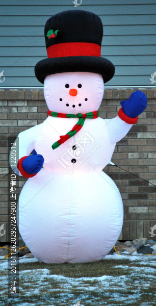 結(jié)霜的雪人。