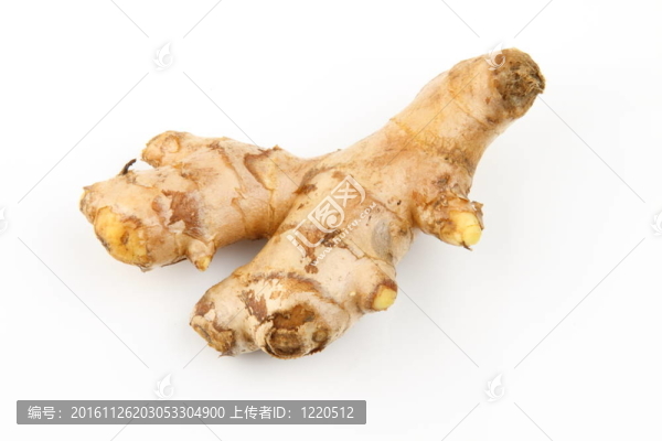 鮮姜