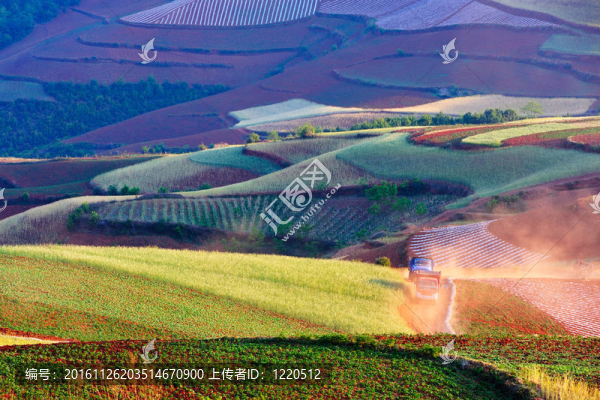 中國鄉(xiāng)村景觀