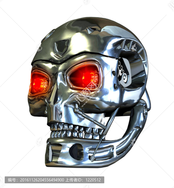 roboskull