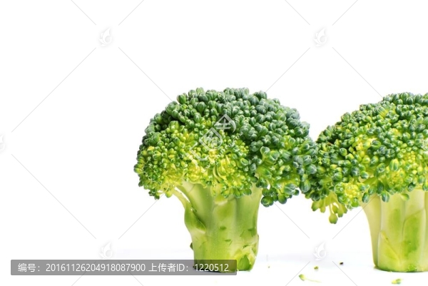 白色隔離花椰菜