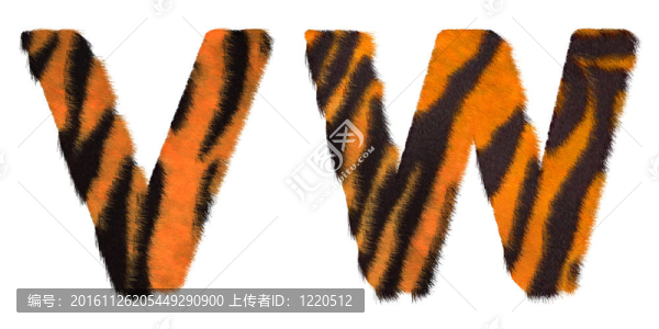 老虎掉W和V字母孤立