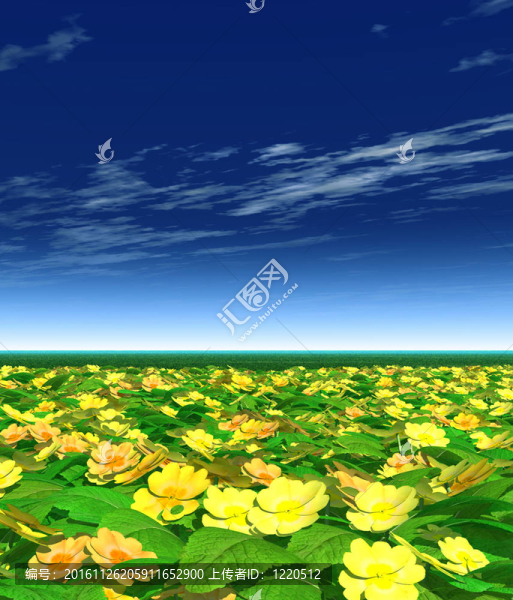 春天的風(fēng)景