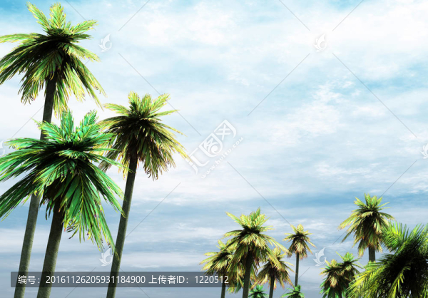 熱帶島嶼