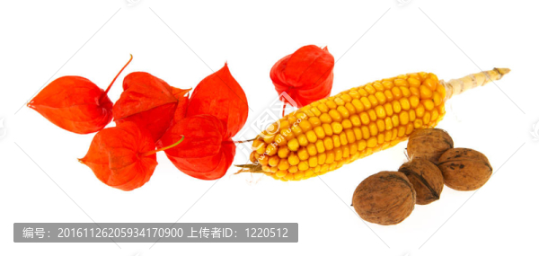 日本燈籠玉米和核桃