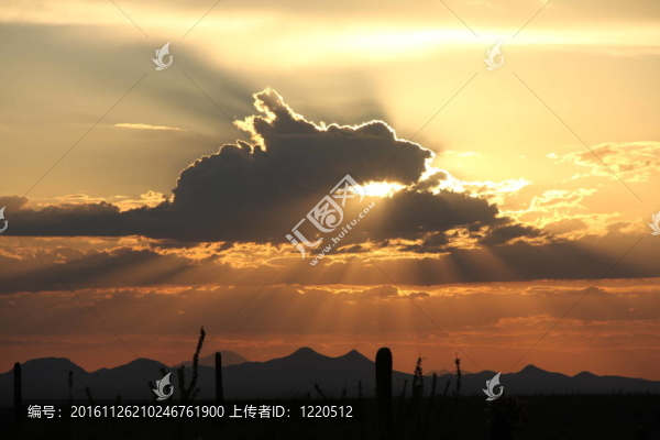 太陽光線