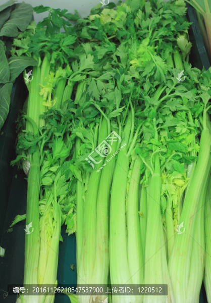 在市場(chǎng)攤位上美麗的新鮮芹菜