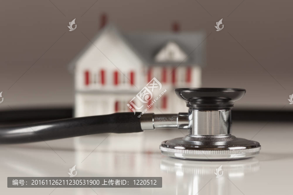 小家模型聽診器