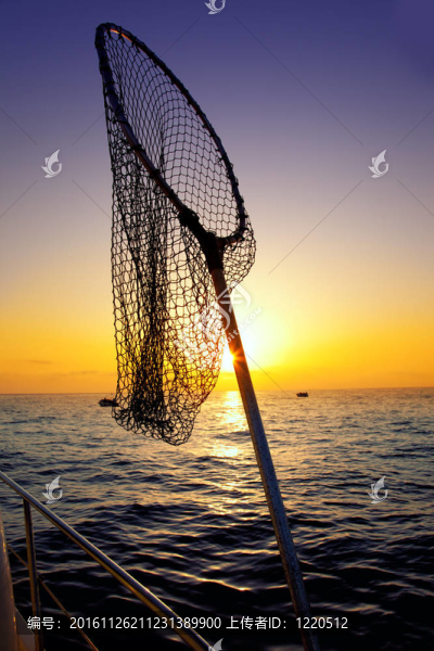 浸在網(wǎng)上捕魚在日出海水