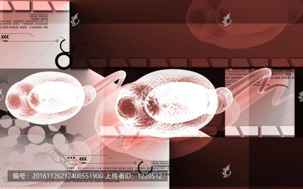 精子
