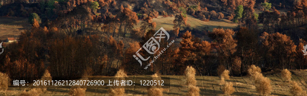 燃燒的景觀全景