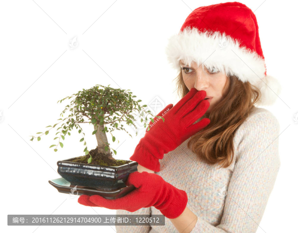 Santa女孩在紅色圣誕帽與盆景樹；白色背景