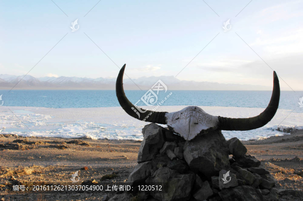 西藏的風(fēng)景
