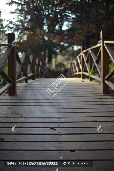 青島湛山寺小木橋