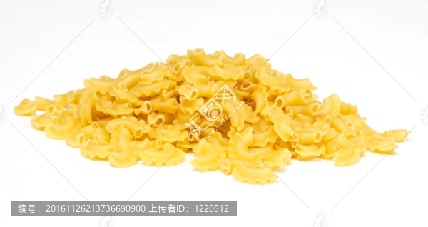 白色背景意大利意大利面食的特寫