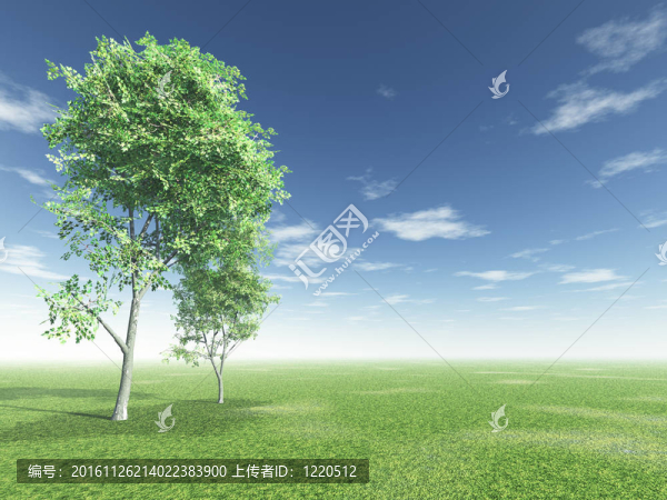 美麗的風(fēng)景
