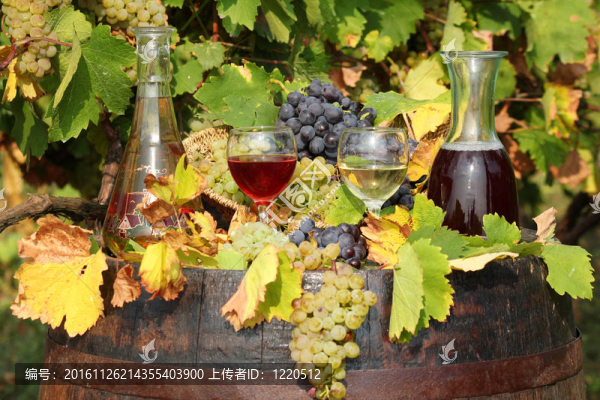 紅白葡萄酒