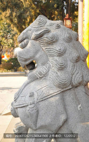 獅子12