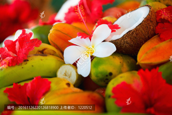 椰子水果和熱帶花卉；