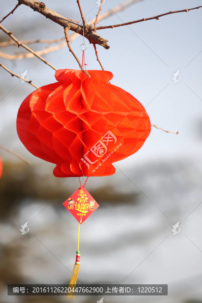 紅燈籠