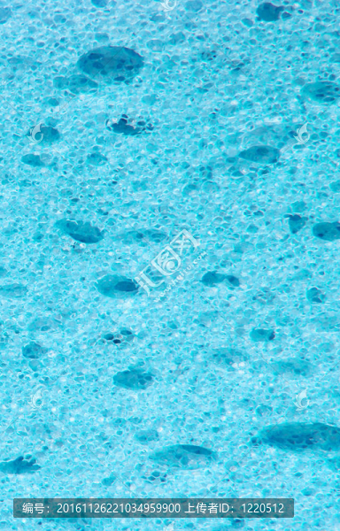 海綿