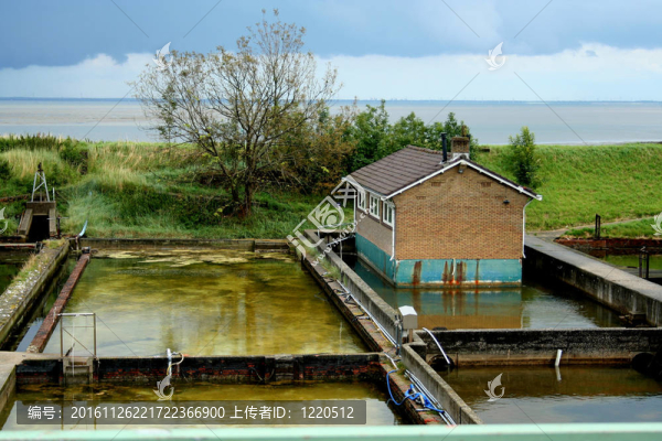 耶爾瑟克牡蠣養(yǎng)殖-匯圖網(wǎng) www.fosd68.com 耶爾瑟克牡蠣養(yǎng)殖