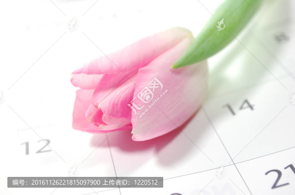 花和日歷