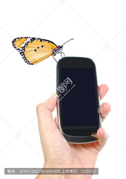 手機和蝴蝶