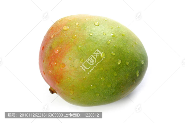 芒果