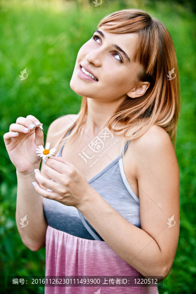 女孩的猜測在甘菊