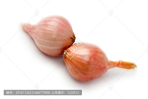 白背景洋蔥