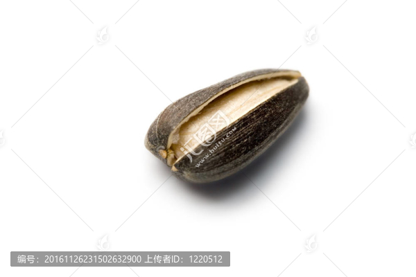 白色葵花籽