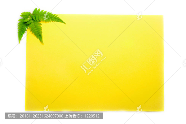 黃色背景蕨類