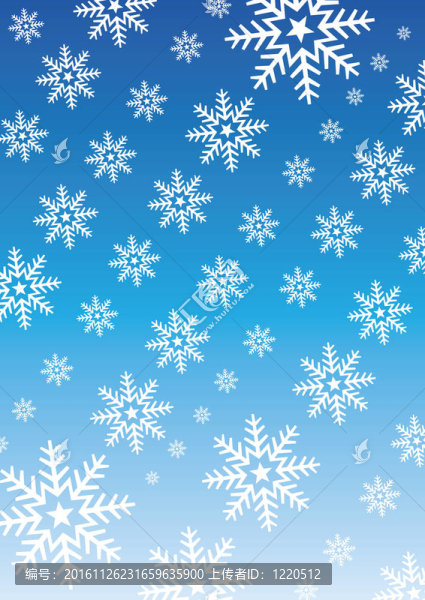 向量的雪花