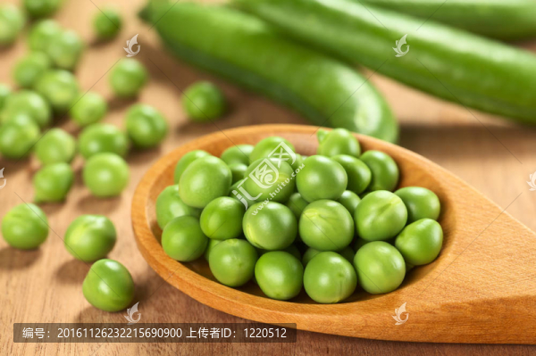 新鮮的綠色豌豆（lat.,Pisum,Sativum）