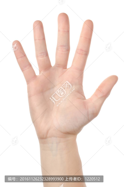人類的手分離