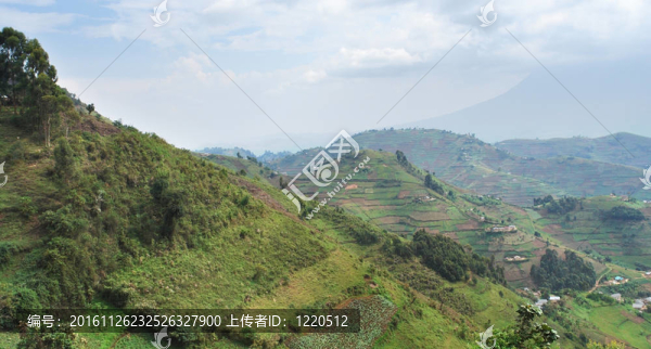 維龍加山鳥瞰