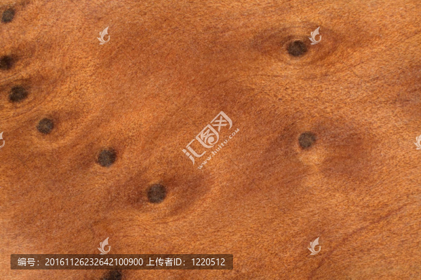 棕色瘤木的細(xì)節(jié)