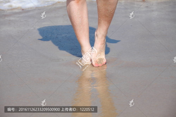 在水中的好腿
