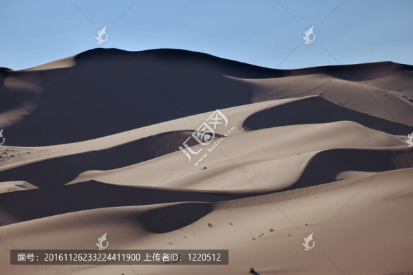 光與影的交替