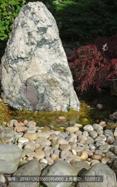 假山和池塘